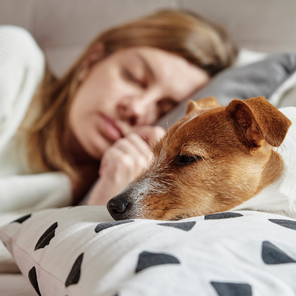 Woman sleeping. LoneTree-1.png